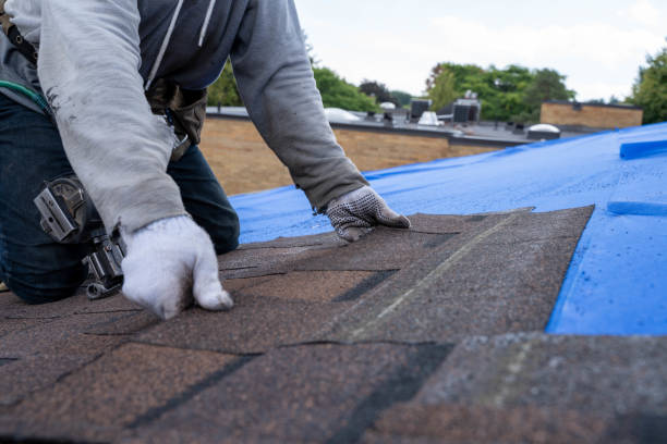 Residential Roof Replacement in Highwood, IL